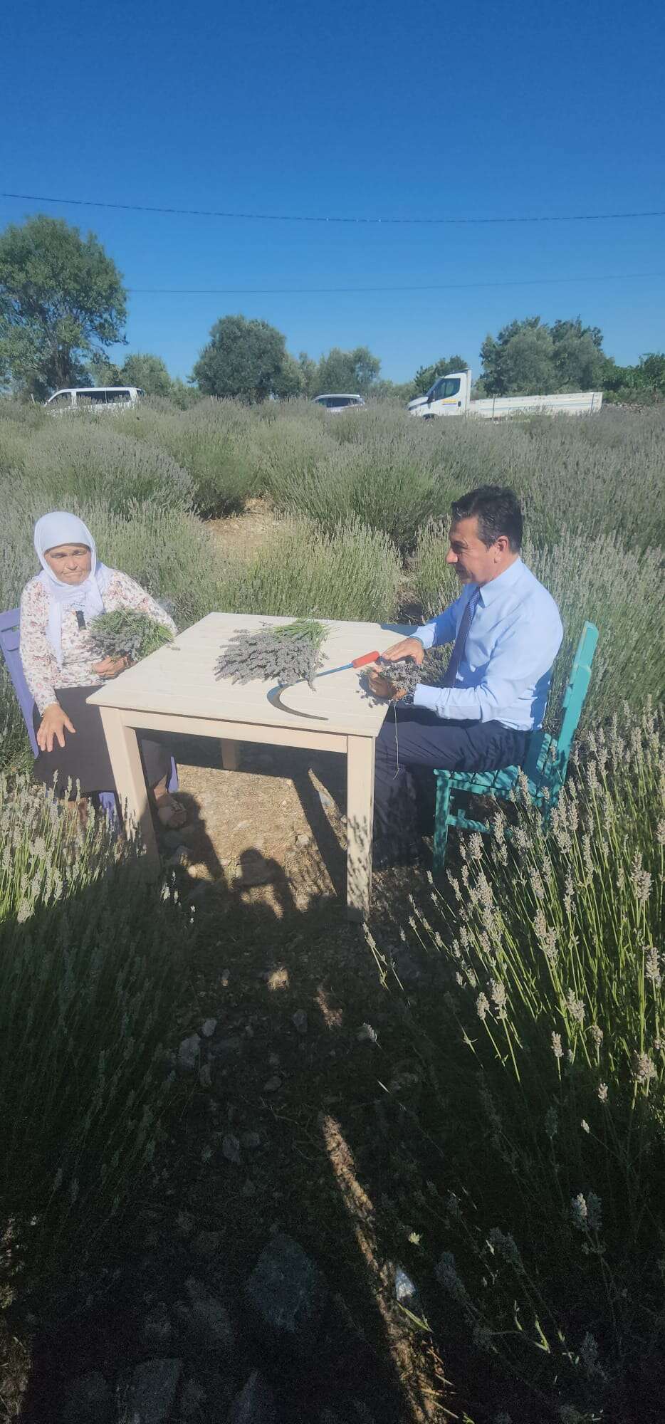 Muğla'da Koku Vadisi Lavanta Hasat Şenliği Coşkusu Başkan Ahmet Aras: "Bu Koku Üreten Muğla'nın Kokusudur" 5